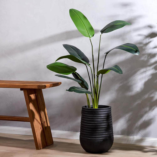 Giant Bird Of Paradise Plant 80x80x152 CM