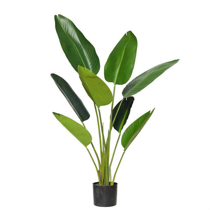 Giant Bird Of Paradise Plant 78x78x122 CM