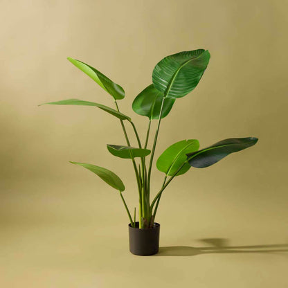 Giant Bird Of Paradise Plant 78x78x122 CM