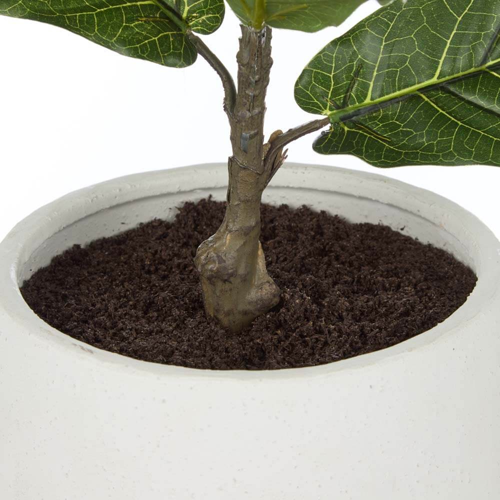 Giant Fiddle - Tub Pot 39x39x63 CM