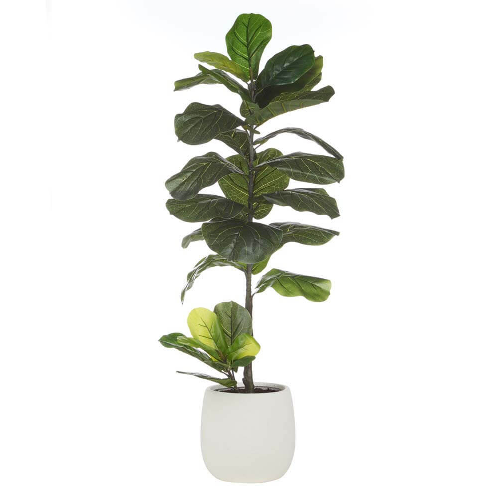 Giant Fiddle - Tub Pot 48x48x110 CM