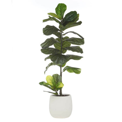 Giant Fiddle - Tub Pot 48x48x110 CM