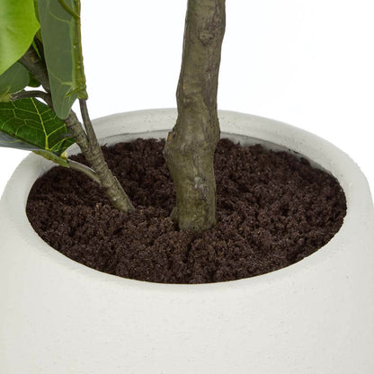 Giant Fiddle - Tub Pot 48x48x110 CM