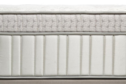 Elegance Soft