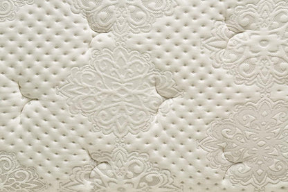 Elegance Soft