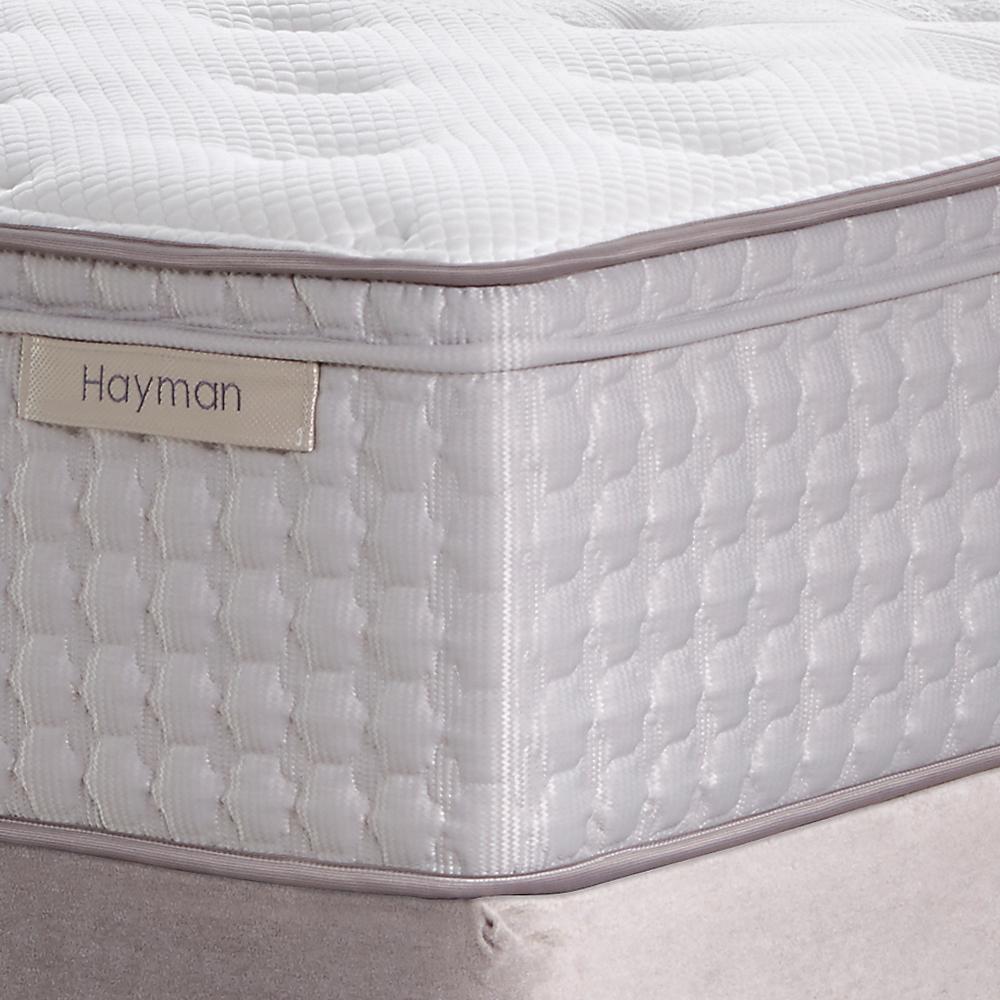Hayman Plush