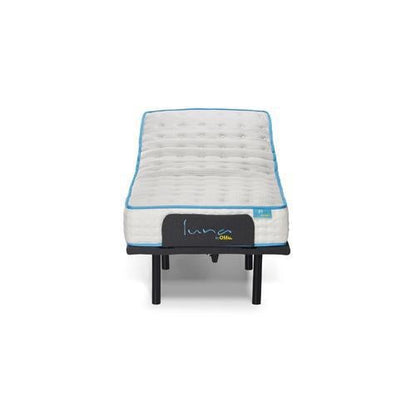 Luna Motion Adjustable Base